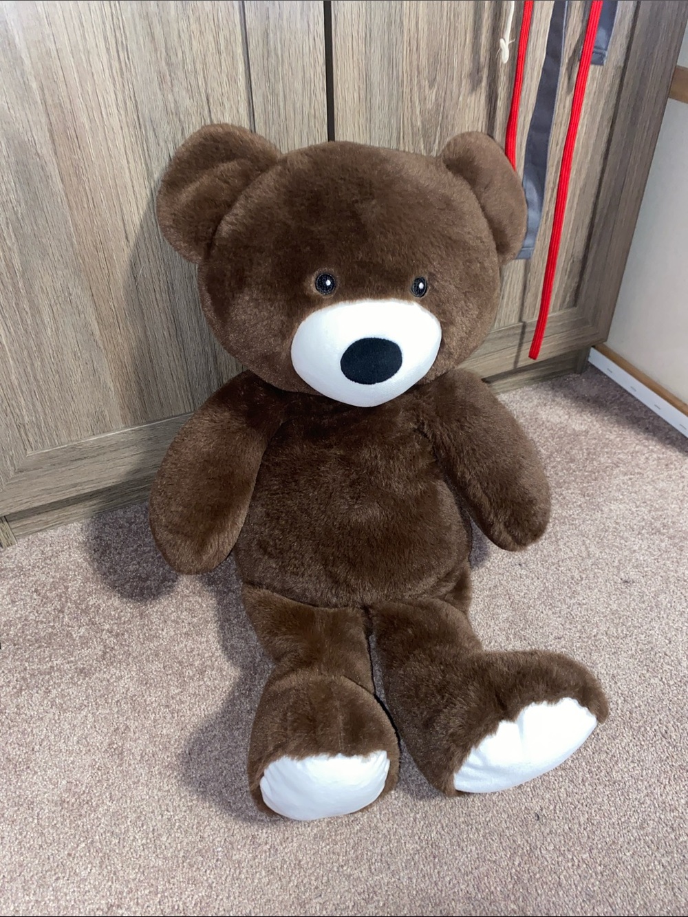 Weighted Teddy Bear